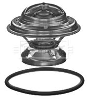 BORG & BECK BBT360 - Termostato, refrigerante