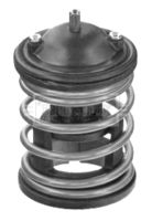 BORG & BECK BBT446 - Termostato, refrigerante