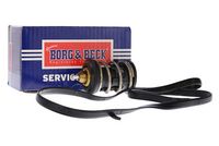 BORG & BECK BBT558 - Termostato, refrigerante