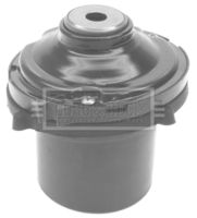 BORG & BECK BSM5350 - Cojienete de rodillos, columna amortiguación