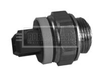 BORG & BECK BTS822.97 - Interruptor de temperatura, ventilador del radiador