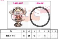EPS 1.880.640 - Termostato, refrigerante