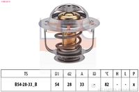 EPS 1.880.657S - Termostato, refrigerante