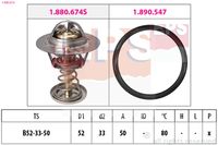 EPS 1.880.674 - Termostato, refrigerante