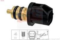 EPS 1.830.383 - Sensor, temperatura combustible