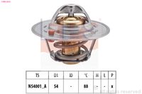 EPS 1.880.202S - Termostato, refrigerante