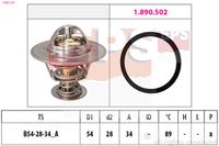 EPS 1.880.220 - Termostato, refrigerante