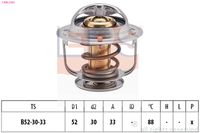 EPS 1.880.238S - Termostato, refrigerante
