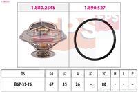 EPS 1.880.254 - Termostato, refrigerante
