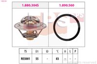 EPS 1.880.304 - Termostato, refrigerante