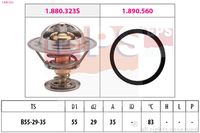 EPS 1.880.323 - Termostato, refrigerante