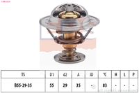 EPS 1.880.323S - Termostato, refrigerante