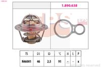 EPS 1.880.524 - Termostato, refrigerante