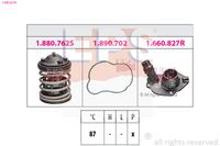 EPS 1.880.827K - Termostato, refrigerante