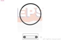 EPS 1.890.688 - Junta, termostato