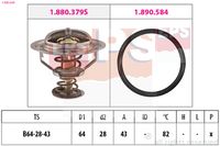 EPS 1.880.649 - Termostato, refrigerante