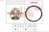 EPS 1.879.923 - Termostato, refrigerante