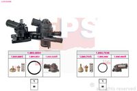 EPS 1.879.959KK - Termostato, refrigerante