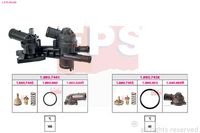 EPS 1.879.962KK - Termostato, refrigerante