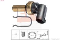 EPS 1.830.300 - Sensor, temperatura del refrigerante