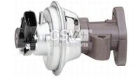 CSV electronic parts CGR5291 - Válvula EGR