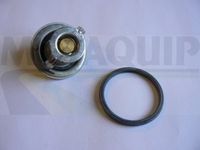 MOTAQUIP VTK166 - Termostato, refrigerante