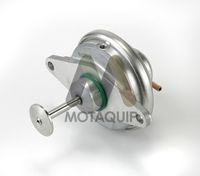 MOTAQUIP LVER324 - Válvula EGR