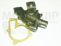 MOTAQUIP VWP596 - Bomba de agua, refrigeración del motor