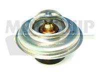 MOTAQUIP VTS180 - Termostato, refrigerante