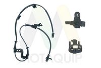 MOTAQUIP LVAB1001 - Sensor, revoluciones de la rueda
