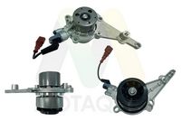 MOTAQUIP LVWP1133V - Bomba de agua, refrigeración del motor