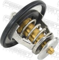 FEBEST 01462-002 - Termostato, refrigerante
