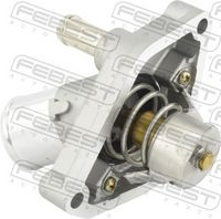 FEBEST 02462-004 - Termostato, refrigerante