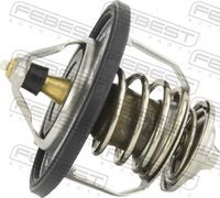 FEBEST 12462-006 - Termostato, refrigerante