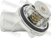 FEBEST 16462-008 - Termostato, refrigerante