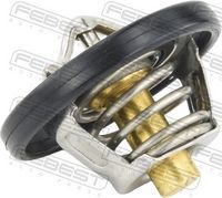 FEBEST 21462-003 - Termostato, refrigerante