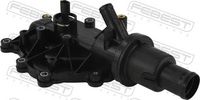FEBEST 24462-003 - Termostato, refrigerante