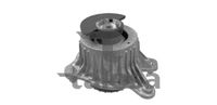 TALOSA 61-16501 - Soporte, motor