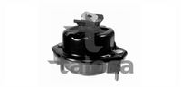 TALOSA 61-23106 - Soporte, motor