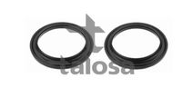 TALOSA 63-21170 - Cojienete de rodillos, columna amortiguación