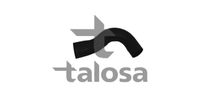 TALOSA 67-19698 - Tubería de radiador
