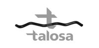 TALOSA 67-20142 - Tubería de radiador