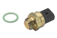 MDR WAL-6031105 - Interruptor de temperatura, ventilador del radiador