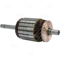 HC-Cargo F 032 131 813 - Inducido, motor de arranque