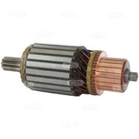 HC-Cargo F 032 132 796 - Inducido, motor de arranque