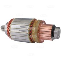 HC-Cargo F 032 136 896 - Inducido, motor de arranque
