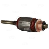 HC-Cargo F 032 138 959 - Inducido, motor de arranque