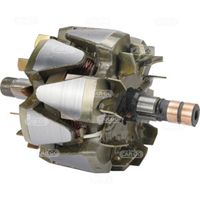 HC-Cargo F 032 232 198 - Rotor, alternador