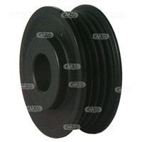 HC-Cargo F 032 234 019 - Polea, alternador