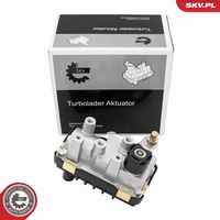 ESEN SKV 95SKV460 - Válvula reguladora de admisión